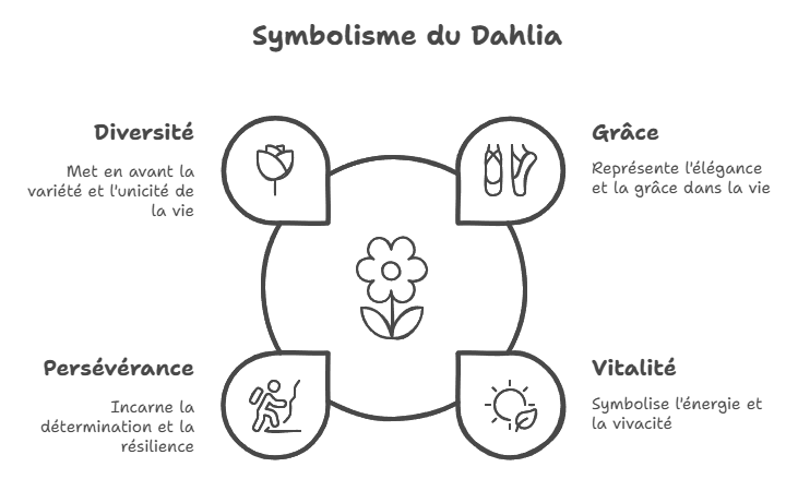 Quelle est la symbolique du dahlia ?